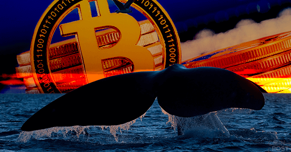 ビットコインのスケーリング能力の進展：「クジラ」が48000BTC移動・手数料はたったの4円相当