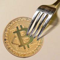 切迫したフォーク、ビットコインキャッシュと起こりうる混乱-準備はできているか?