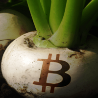 株式市場、仮想通貨市場が相互に学ぶ必要がある点とは?