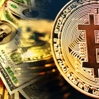 ビル・ミラー氏が運営するヘッジファンド、資金の半分をビットコインに投資