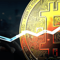 Blockchain.com CEO:中央銀行はビットコインを保有し始めると主張