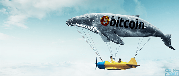 ビットコイン急落と「クジラ」の影響に関する仮想通貨調査報告書が公開