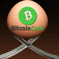 仮想通貨ビットコインキャッシュのハードフォーク、投資をする際の「4つの注意点」