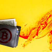 仮想通貨市場の『クジラ』が数千億円規模のビットコインを買い注文か