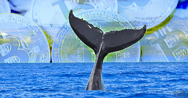 8月下旬に巨額のビットコインを動かした『クジラ』の正体は | 白熱するネット探偵の推理