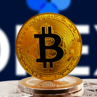 大手仮想通貨取引所でビットコインキャッシュ強制決済が実行|7800万円の巨額損失事例も