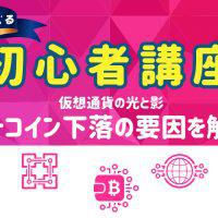 ビットコイン価格変動の要因を解明!仮想通貨の光と影|CoinPost初心者講座