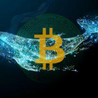 53,000BTC前後の大口仮想通貨送金報告 過去データとの共通点