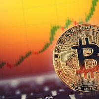 機関投資家によるビットコイン市場の成長は堅調 データ分析企業が考察を披露