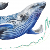 ビットコイン100万円割れ回避で急反発　仮想通貨クジラの競争激化を指摘する見方も
