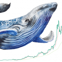 クジラが仮想通貨イーサリアムに与える影響|MUFG出資企業の調査結果で判明