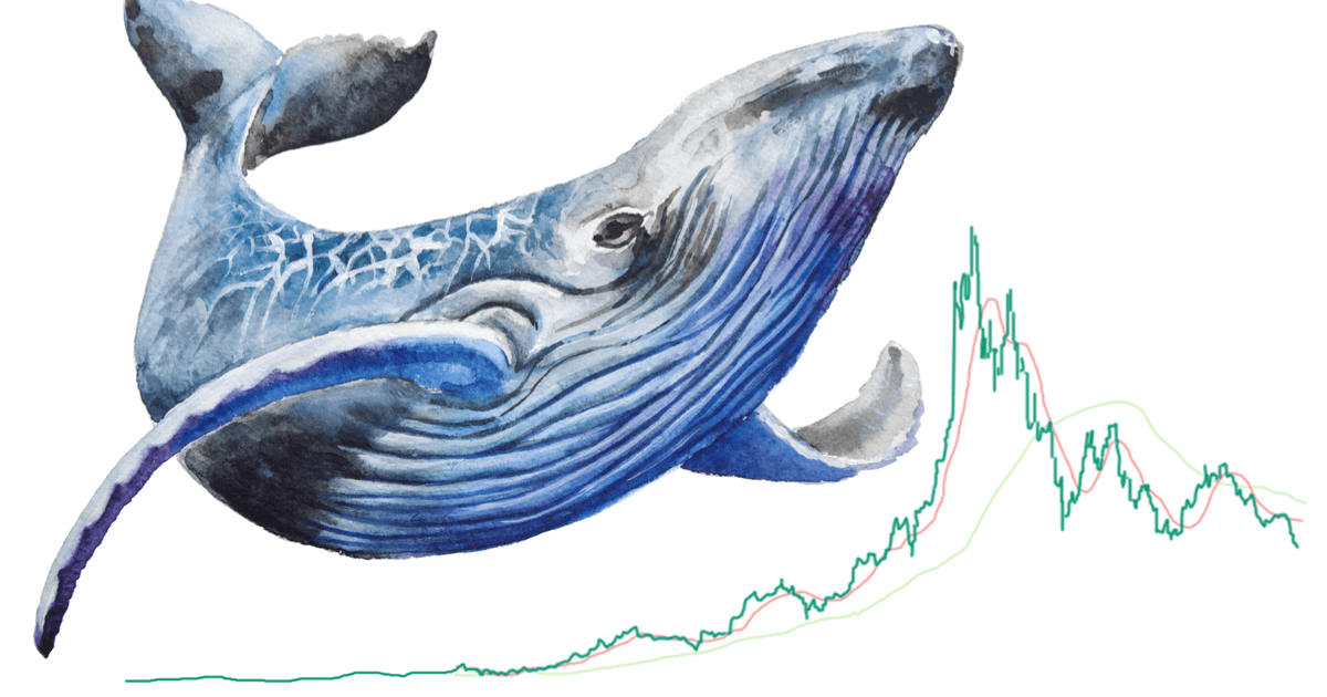 クジラが仮想通貨イーサリアムに与える影響とは｜MUFG出資企業の調査結果で判明