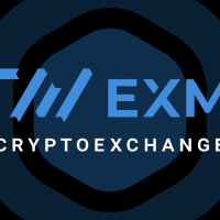 ハッキング被害の仮想通貨取引所EXMO、原因調査の現状を報告