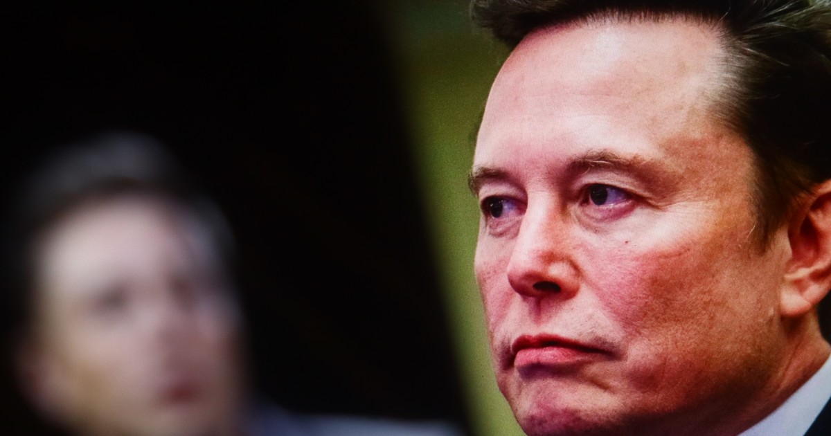 ウォーレン米議員、イーロンのXマネーに懸念を表明　書簡でサービス内容などを質問