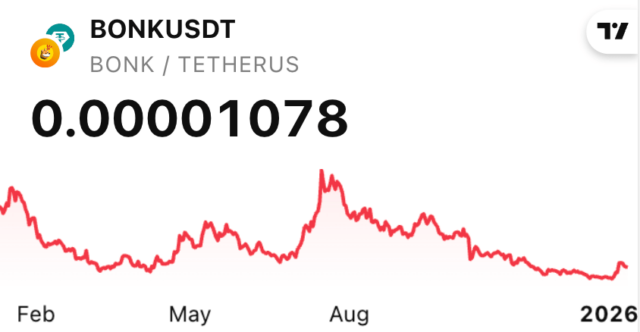 bonk価格チャート